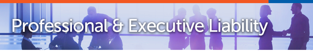 page banner_P-Professional & Executive PL.jpg