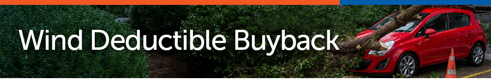 page banner_S-Wind Deductible Buyback.jpg