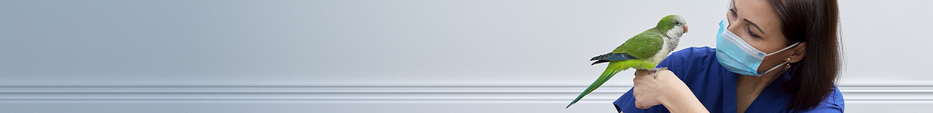 Header_Veterinary Services.png